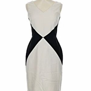 Elegant Black and White Sleeveless banana republic Dress